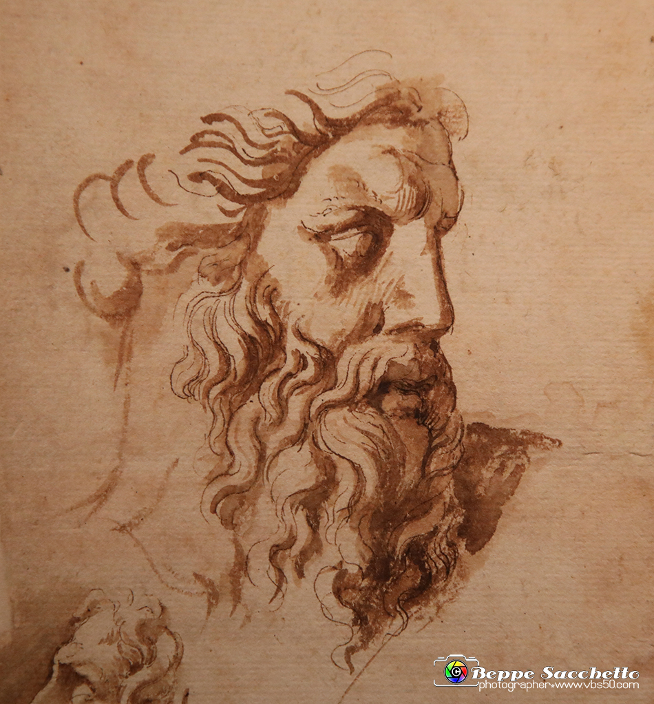 VBS_0061 - Mostra Nel segno di Raffaello.jpg